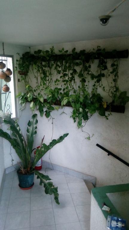 Hotel Y Hostal Casa Risueno Campeche Værelse billede